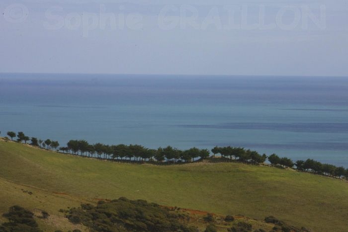 Rally New Zealand Whaanga Coast.jpg